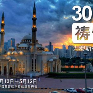 30 Days of Prayer (Simplified Chinese, Adult - 1 Ebook Per Person) [30天祷告（简体中文，成人 - 一本电子书购买限于一个人使用 ) ] 2021